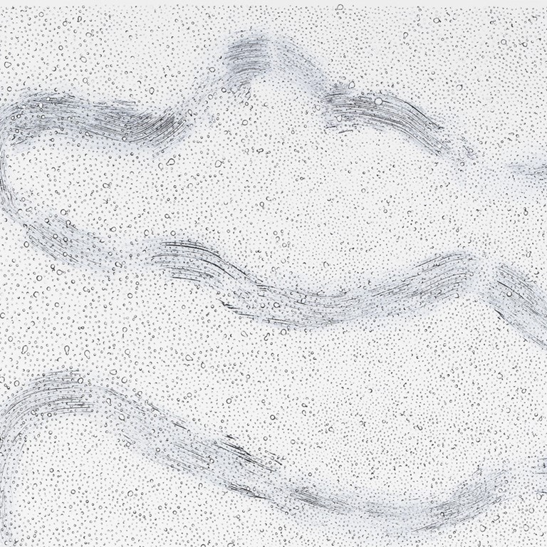 Meet the artist. Rebecca Salter, Kevin Simón Mancera und Paul Thuile